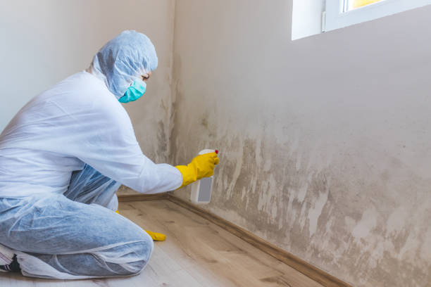 Crawl Space Mold Remediation treatment of floor joists in Sunbury